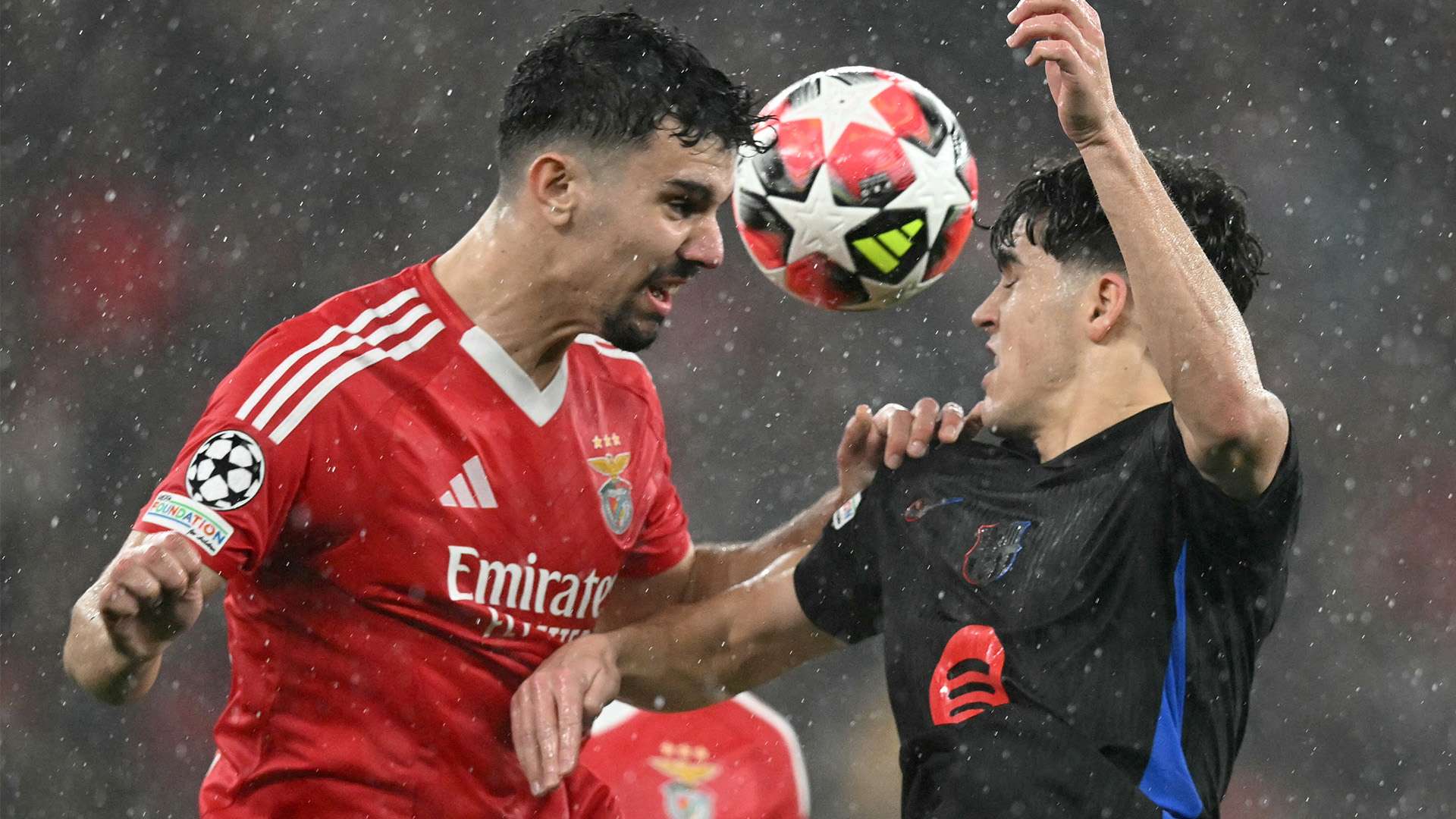 近幾個賽季 近幾個賽季