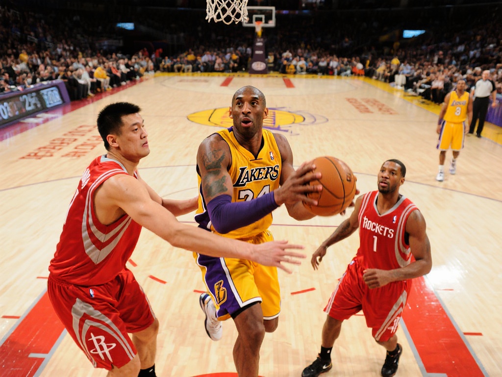 的全面解读 的全面解读